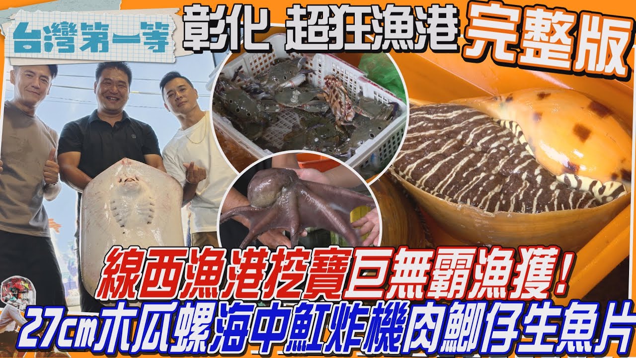 [全新] 彰化【線西漁港挖寶巨無霸漁獲「木瓜螺、魟炸機、肉鯽仔生魚片」炙燒更甜嫩！討海人私房菜 魟魚米粉+片螺肉/