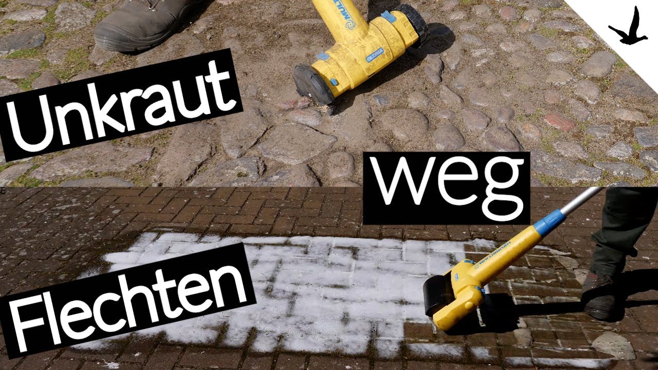 Unkraut entfernen / Flechten entfernen / Holz & Steinböden reinigen✅mit Akku GLORIA MultiBrush 18V.