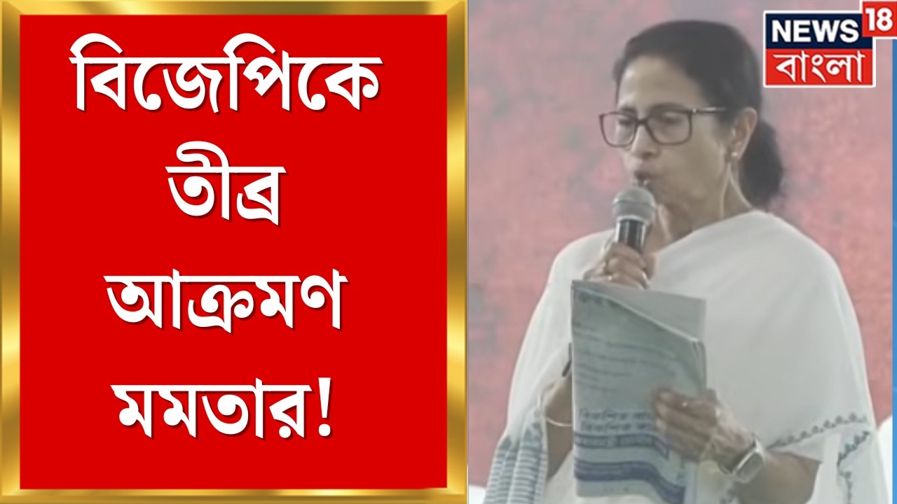 Mamata Banerjee | 'AI দিয়ে নাম কাটা হয়েছে', কেন বললেন মমতা ? | Bangla News