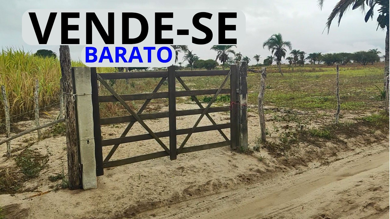 TERRENO A VENDA NO NORDESTE DUAS HECTARES E MEIA #terrenos