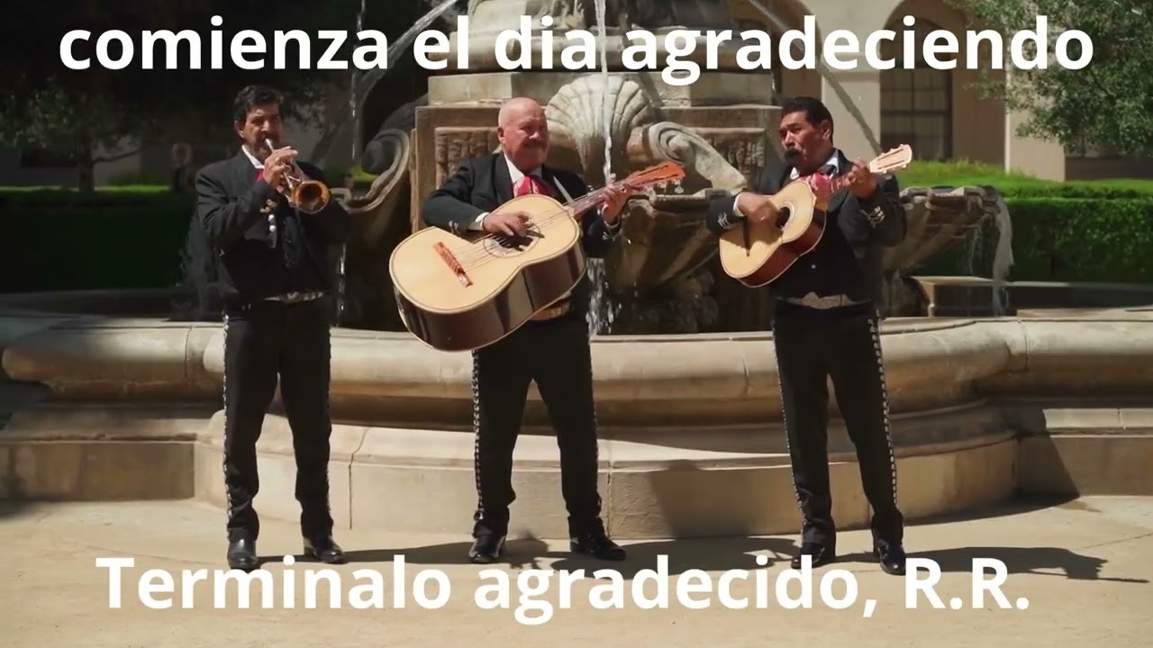 Mi escudo y castillo