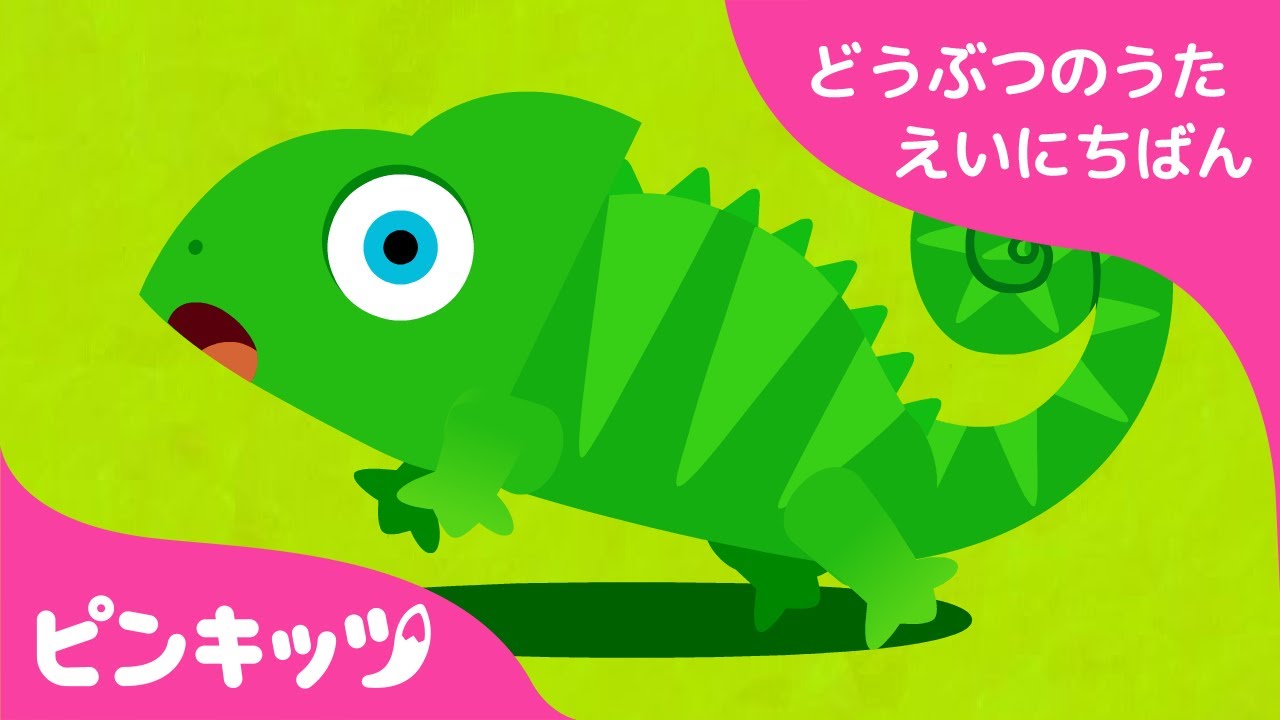 かくれんぼ | どうぶつのうた 英日版 | 子ども向け 英語の歌 | 知育動画 | ピンキッツ！