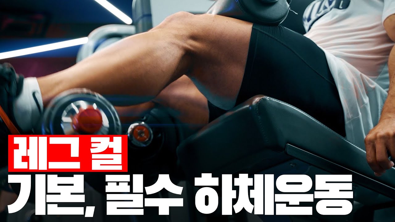 스쿼트 보다 먼저 마스터하세요 l 레그 컬