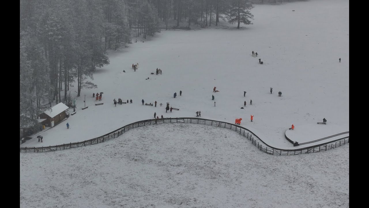 雲南旅行之玉龍雪山雲杉坪