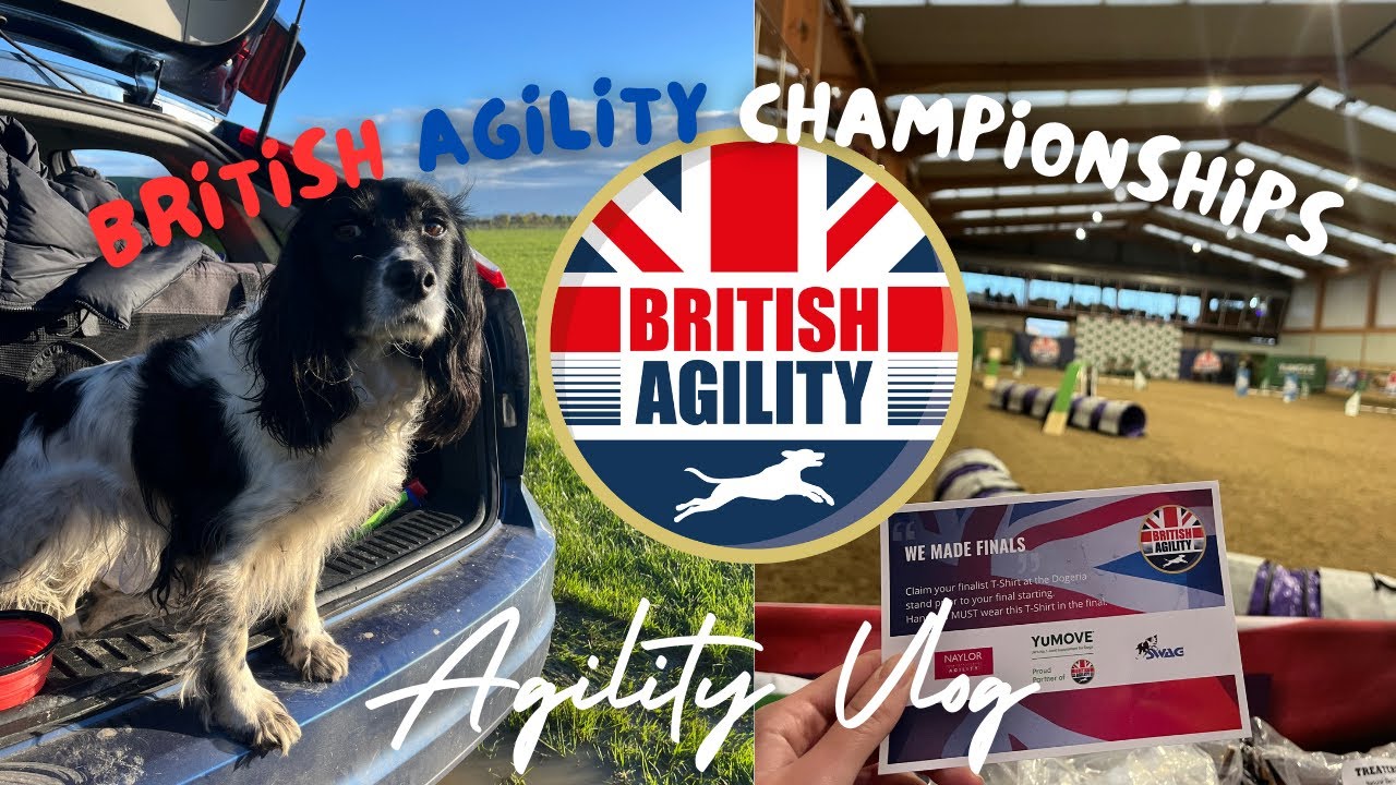 British Agility Championships - Dog Agility Vlog