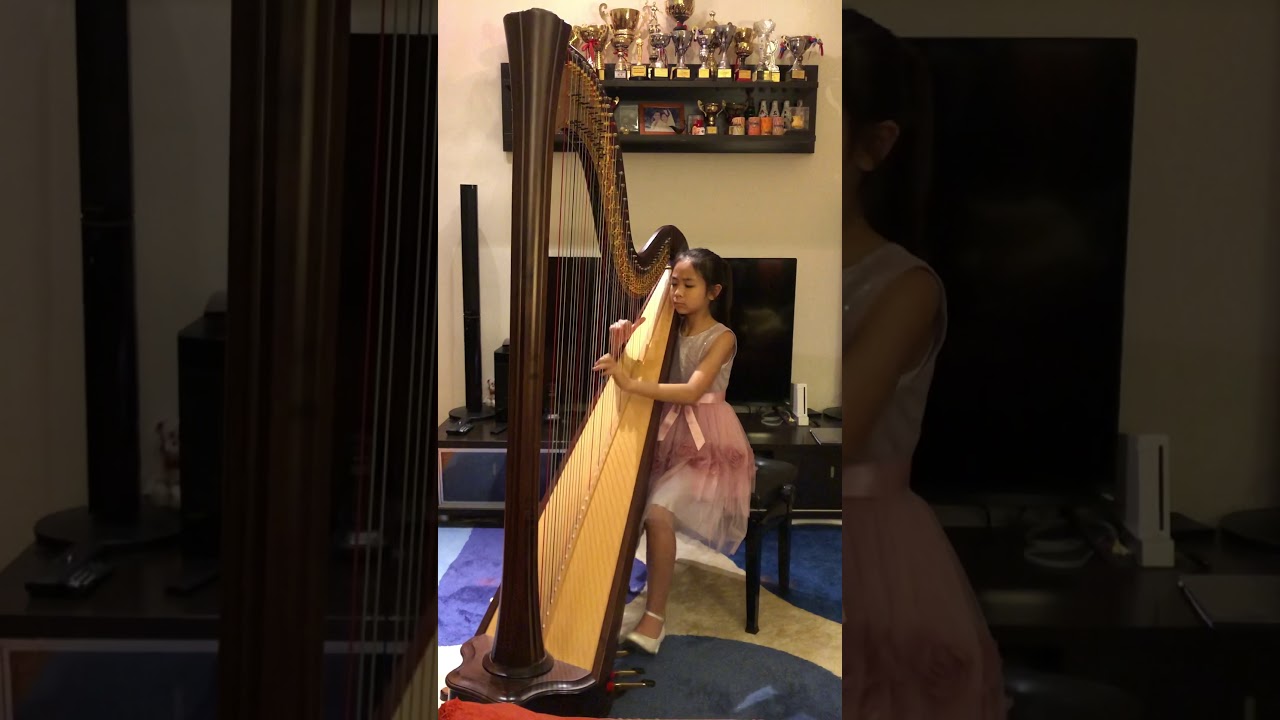 “Variations On A Theme Of Mozart” by Talia Cheung
