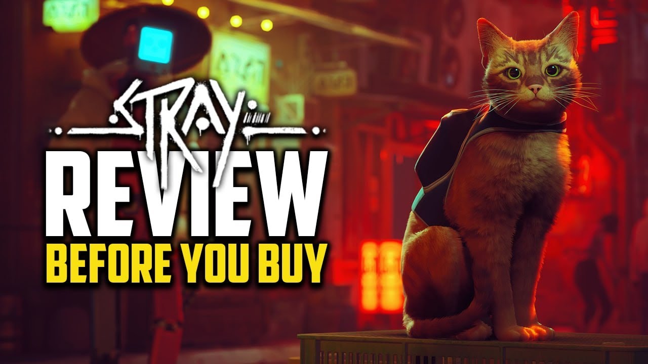 If You Love Cats You Will Love This Game - Stray