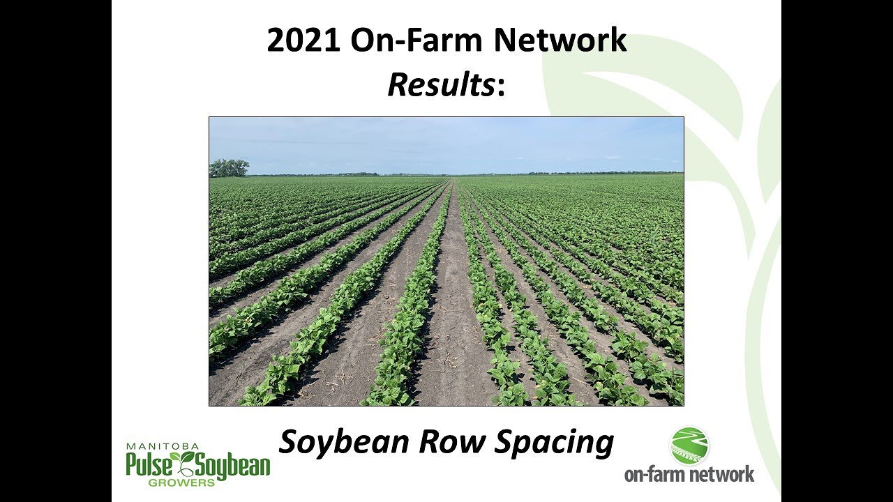 2021 Soybean Row Spacing Results