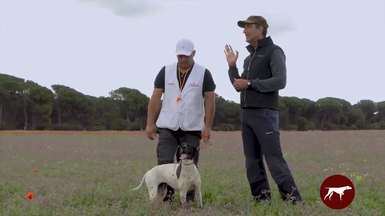 PERROS EXTRELLA: Pointers 
