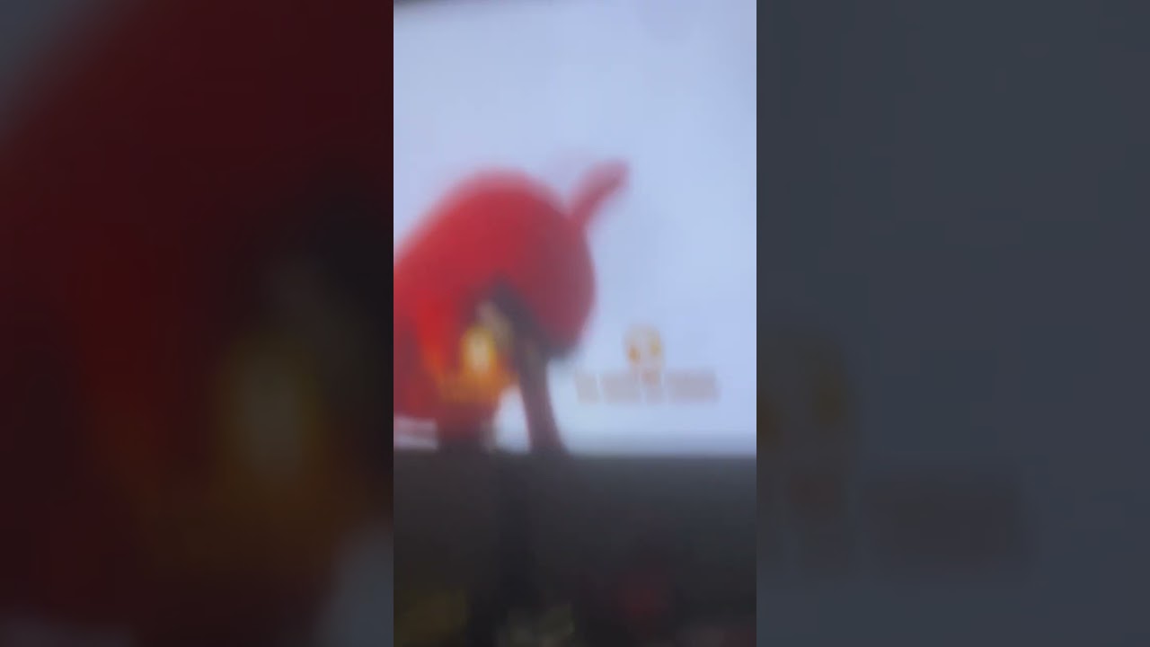 Opening to The Angry Birds Movie 2016 DVD
