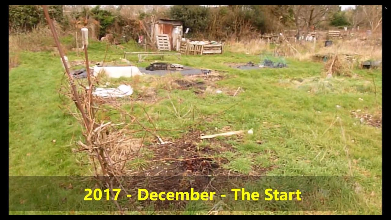 The First 2 Years on the Allotment (2017-2019)