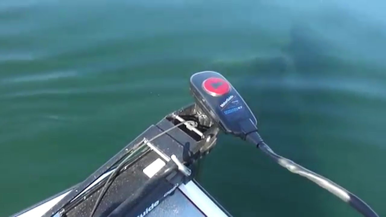 2000 Champion Boats 187 DCX Elite Trolling Motor Test 2 Lake Mead Boulder Boats