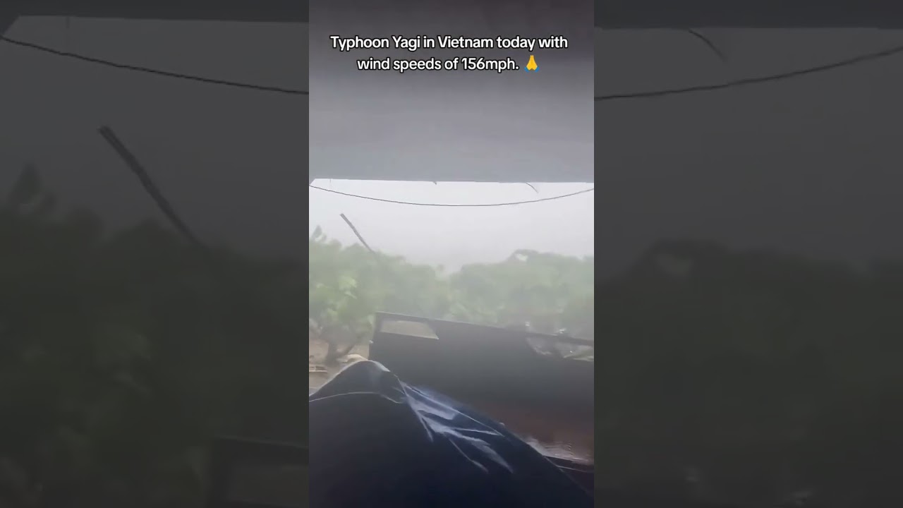 Typhoone yagi vietnam