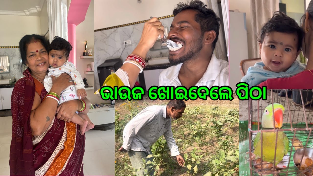 ଚାଲିଲି ପିଉସୀ ମା ଘର // ଭାଉଜ ଖୋଇଦେଲେ ପିଠା @lifeofsridhar9099 