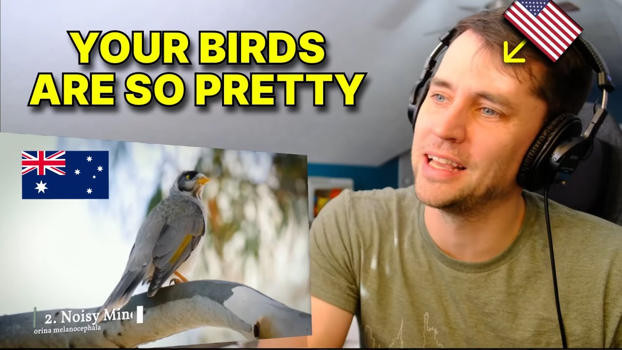 American reacts to common Australian birds