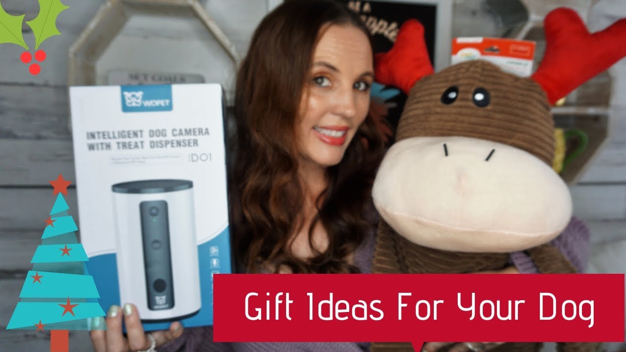 Dog christmas Gift Ideas| My top List for the dog in your life