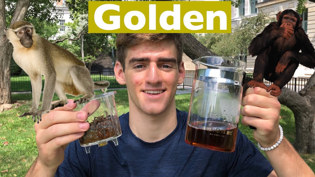 Golden Monkey Tea