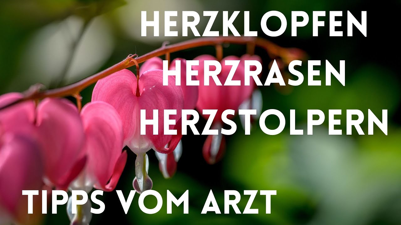 Herzklopfen, Herzrasen, Herzstolpern - Tipps vom Arzt