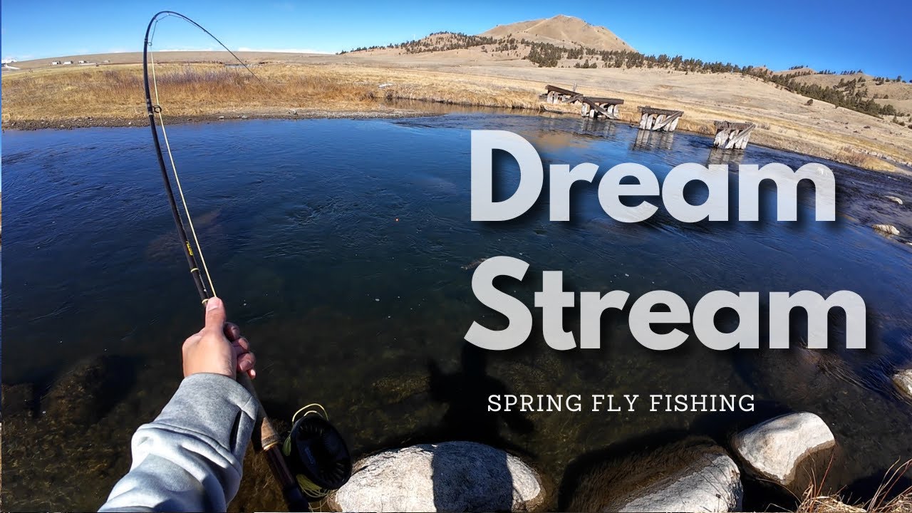 Fly Fishing the Dream Stream | Spring Conditions & Tactics