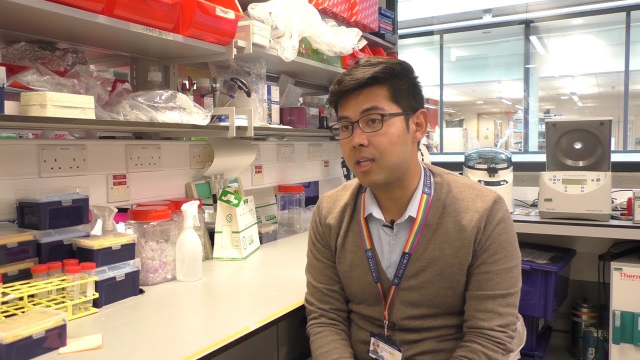 Nawamin Pinpathomrat - PhD Inspiration