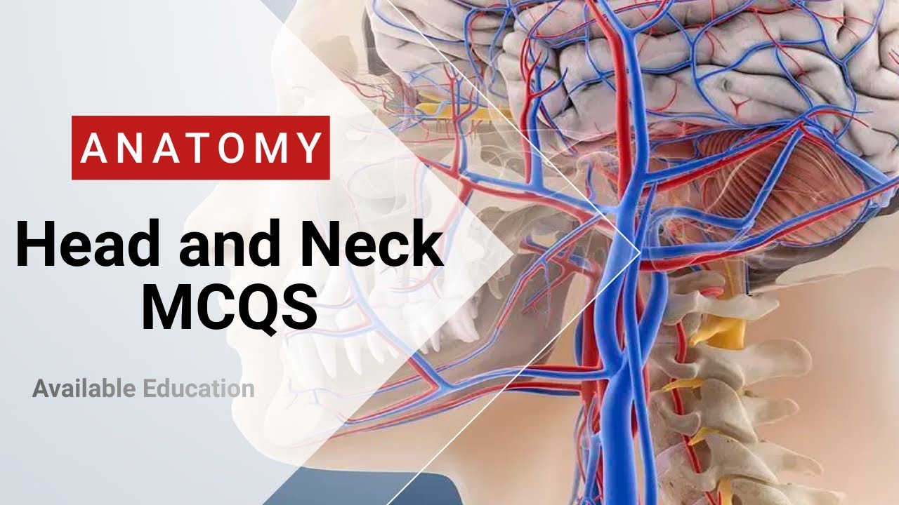 HEAD AND NECK | 2nd Semester Anatomy   | kmu| solve MCQS part 1 #kmu #kmucat