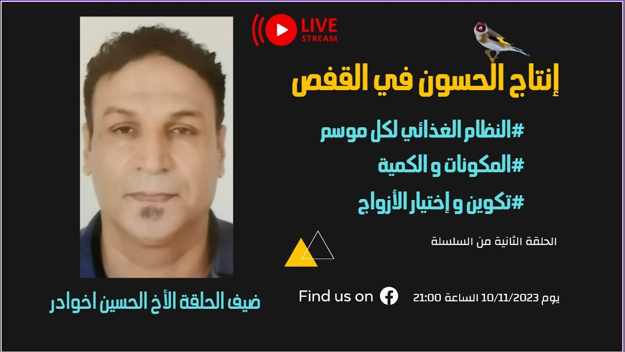 تغذية الحسون و كيفية تكوين و إختيار الأزواج مع الأستاذ الحسين أخوادر