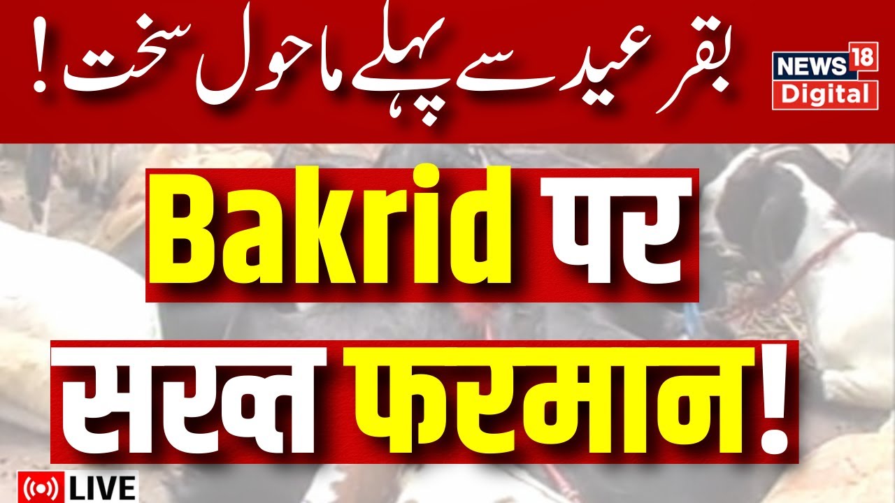 🟢Yogi Meeting on Bakrid LIVE: Yogi Adityanath | Uttar Pradesh | Eid 2023 | عید الضحی | News18 Urdu