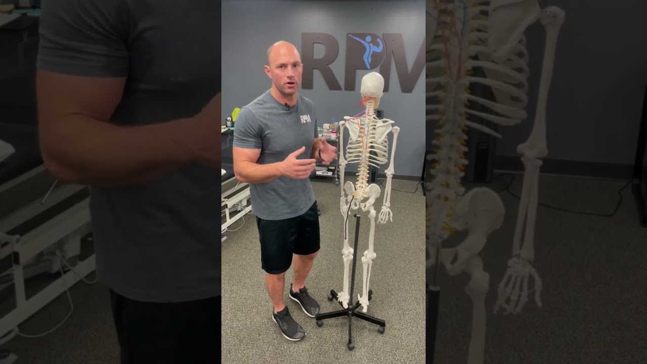 Why Your Nerve Pain Goes Down Your Leg
