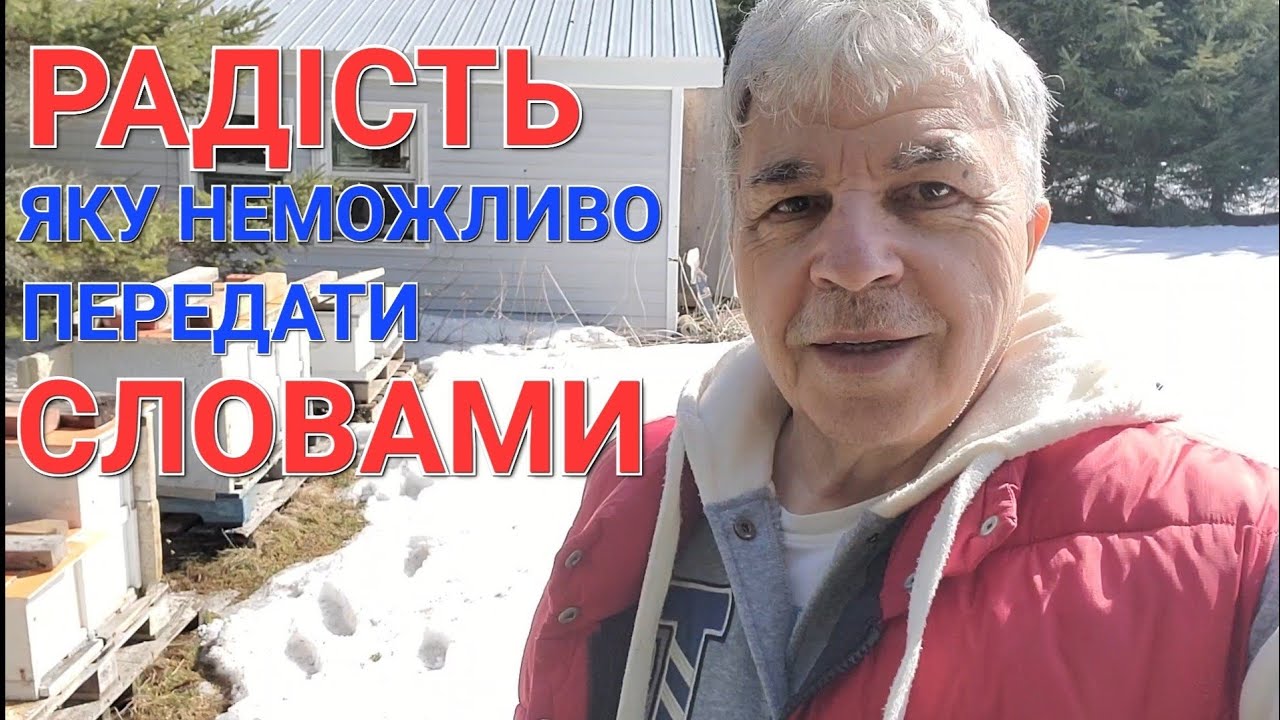 ПРОСТО дайте ЦЕ бджолам і подивіться, що вийде! Я ТЕЖ НЕ ПОВІРИВ!!!