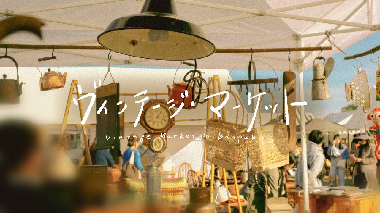 Осенние покупки на масштабном блошином рынке Осаки Vintage Market 2024🍁