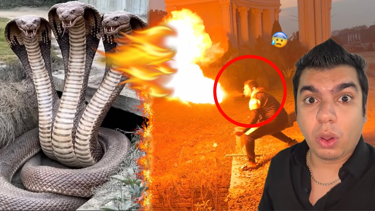 Mamu Ny Big Snake Ko Agg Laga Di 😨 