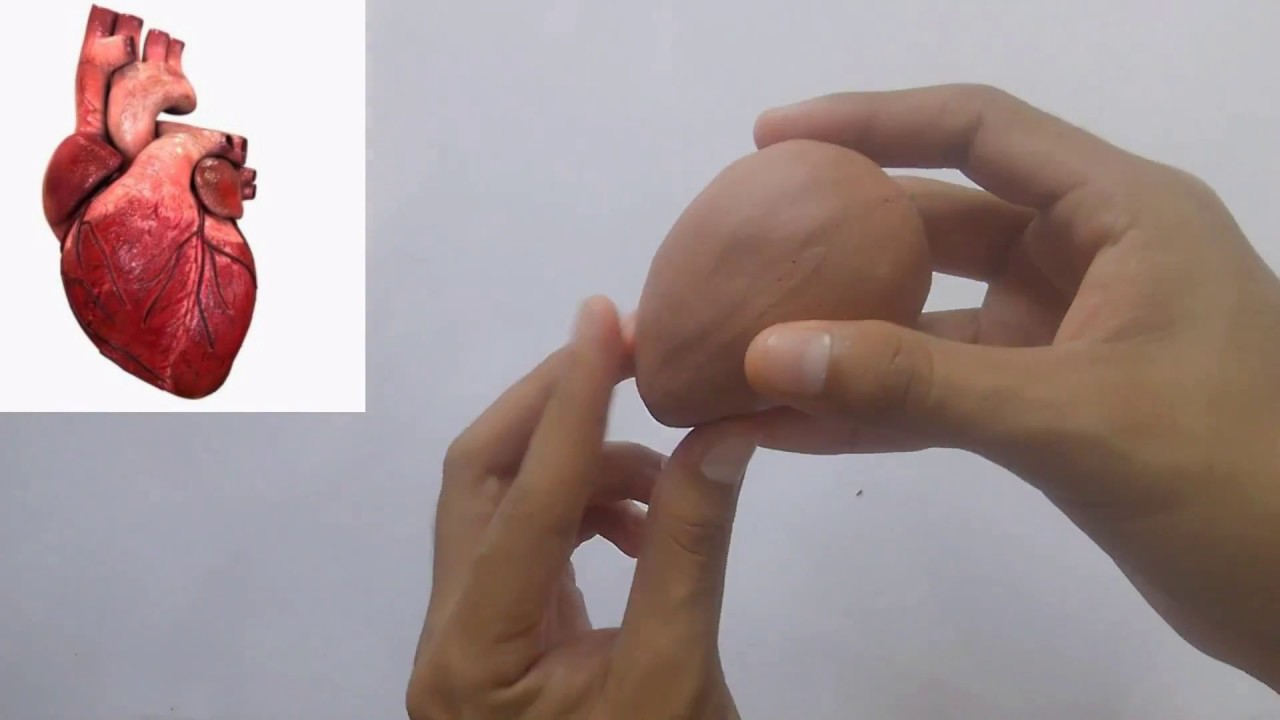 Como esculpir un corazón/escultura