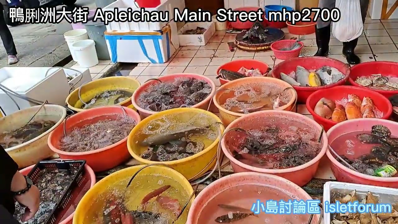 鴨脷洲大街 Apleichau Main Street mhp2700, Nov2022
