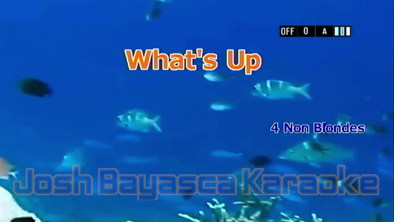 (532) What's Up? by 4 Non Blondes | Premier-98sd Karaoke