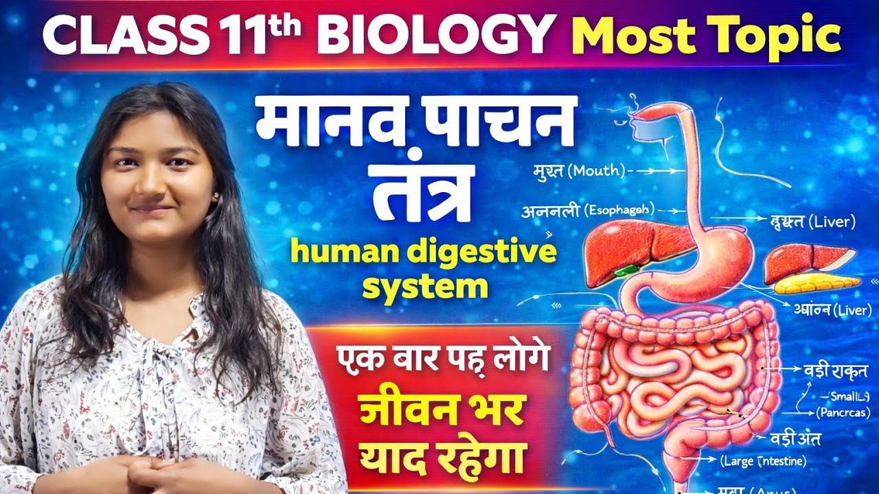 Class 11th biology important topic Human Digestive system कक्षा 11वीं जीवविज्ञान महत्वपूर्ण प्रश्न
