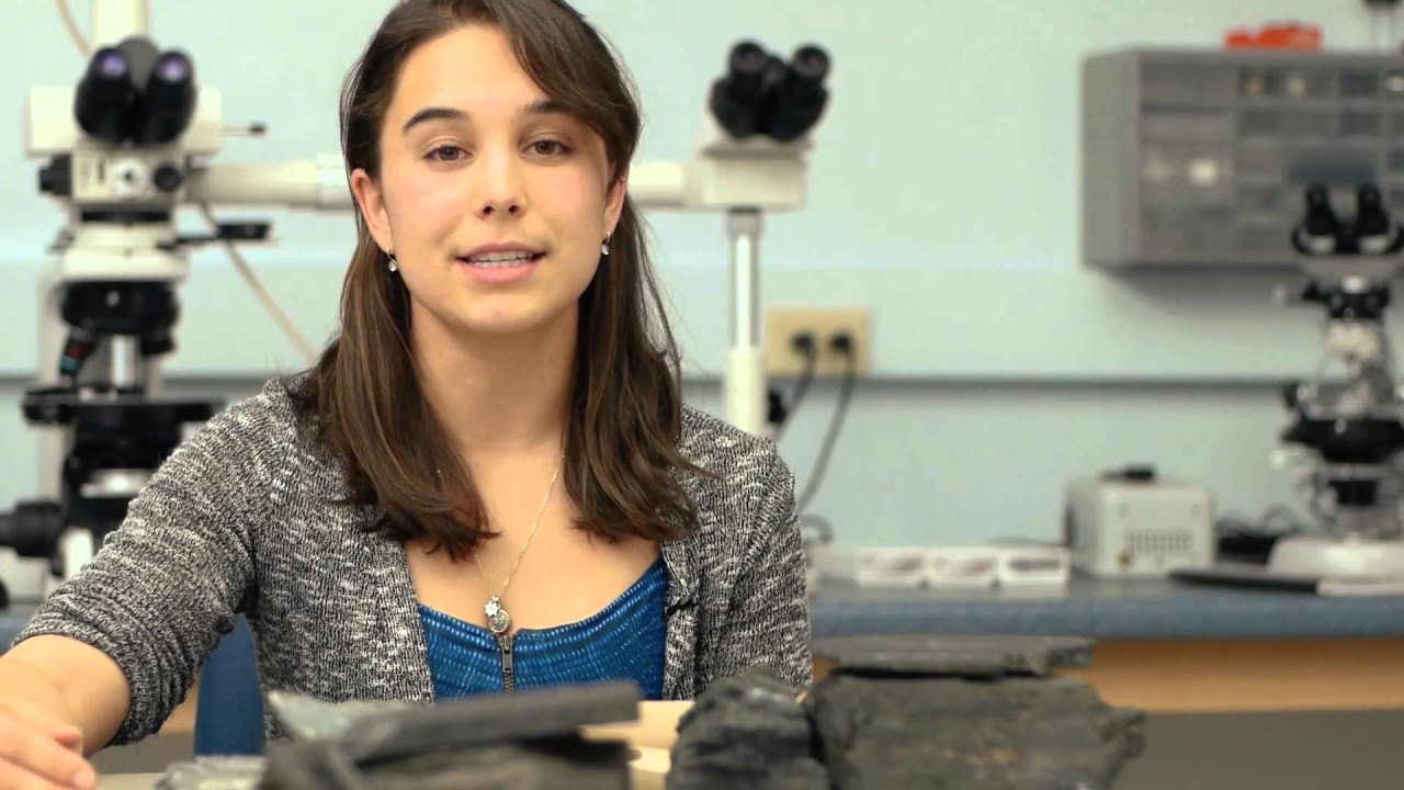 Digging In: Undergraduate Research at Colby