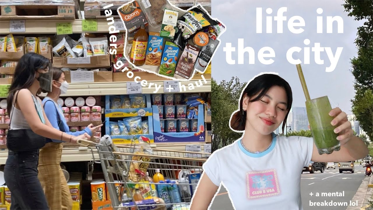daily vlog | landers grocery + haul, new camera & mental break down lol