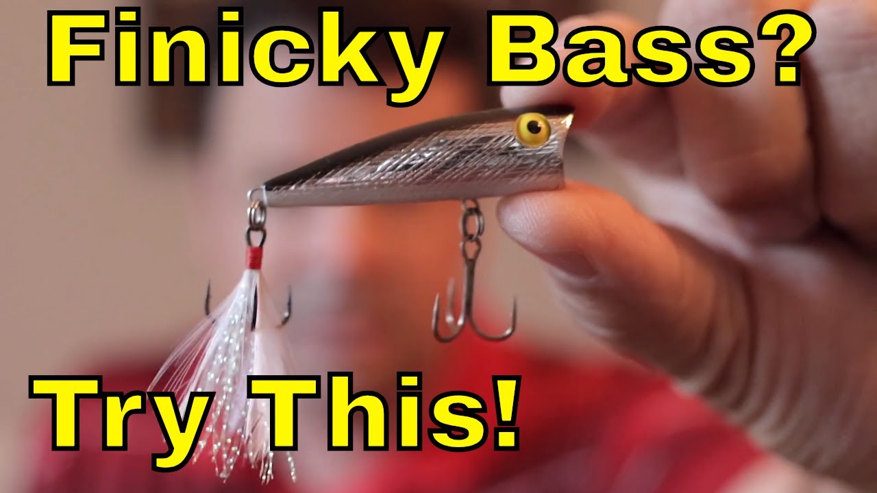 Poppers - The forgotten Topwater Lure for Bass - Rebel Pop-R