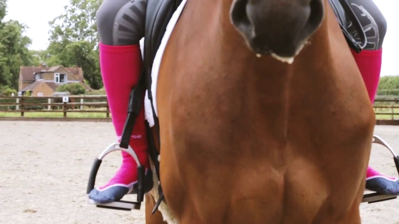 Cool Horse Socks Interview with Imogen Murray