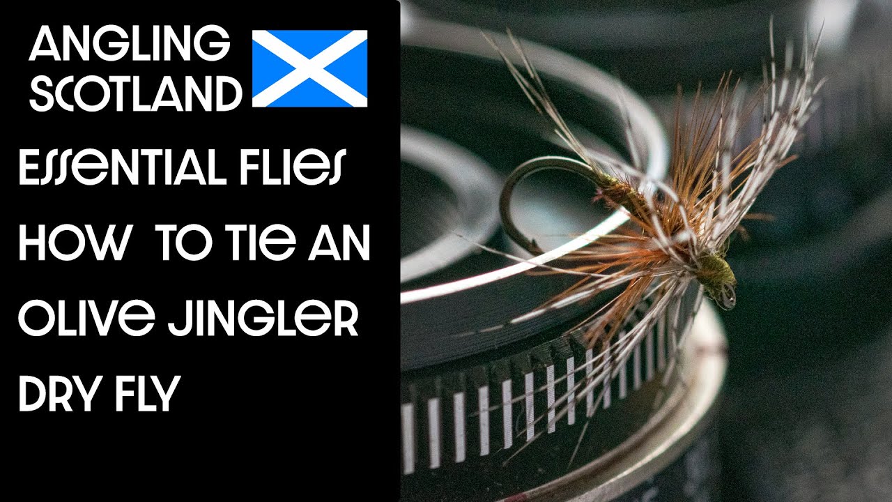 Fly tying tutorial | How to tie the DEADLY olive jingler