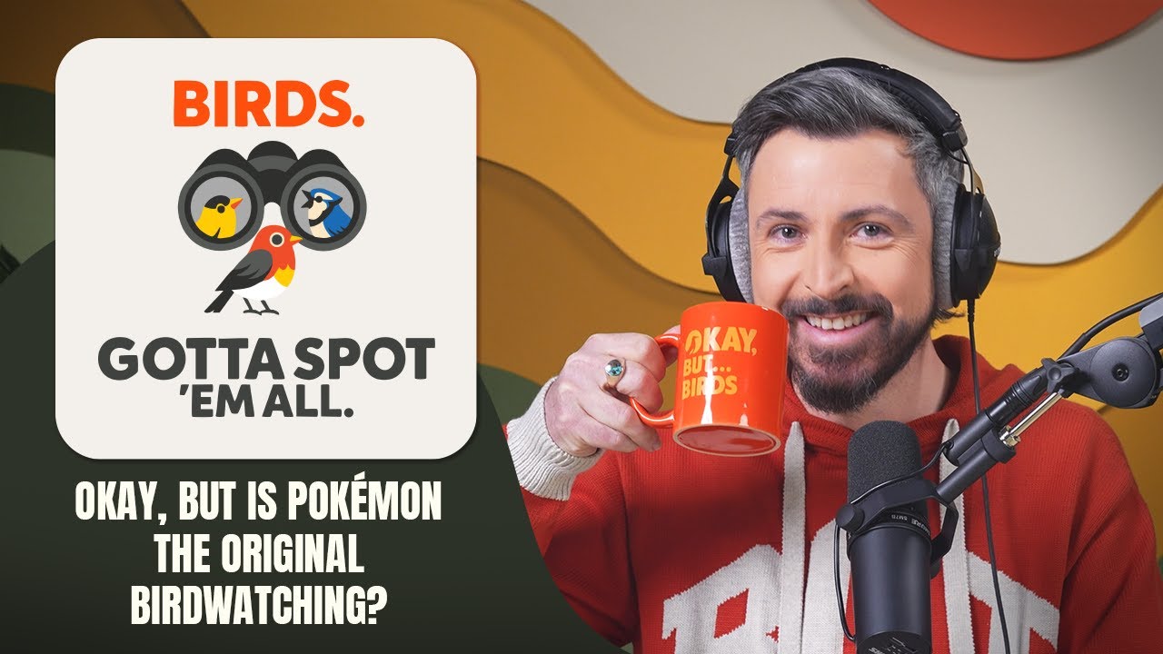 Okay, but is birdwatching the original Pokémon?