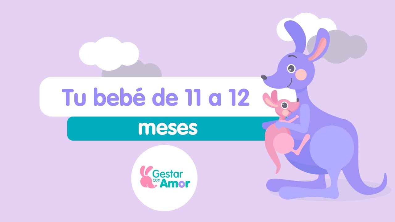 Tu bebé de 11 a 12 meses.  Cuidados y tips para su estimulación