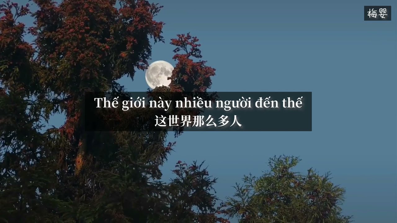 [Vietsub+Pinyin] Thế giới này nhiều người đến thế - Mạc Văn Uý | 《这世界那么多人》莫文蔚 ｜ 𝑬𝒎𝒑𝒕𝒚 𝒘𝒐𝒓𝒍𝒅~