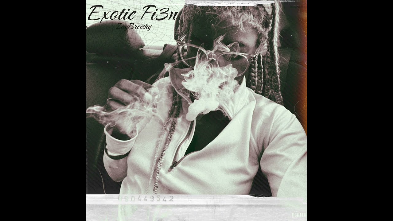 ZayBreeshy - Cashout (Official Audio)