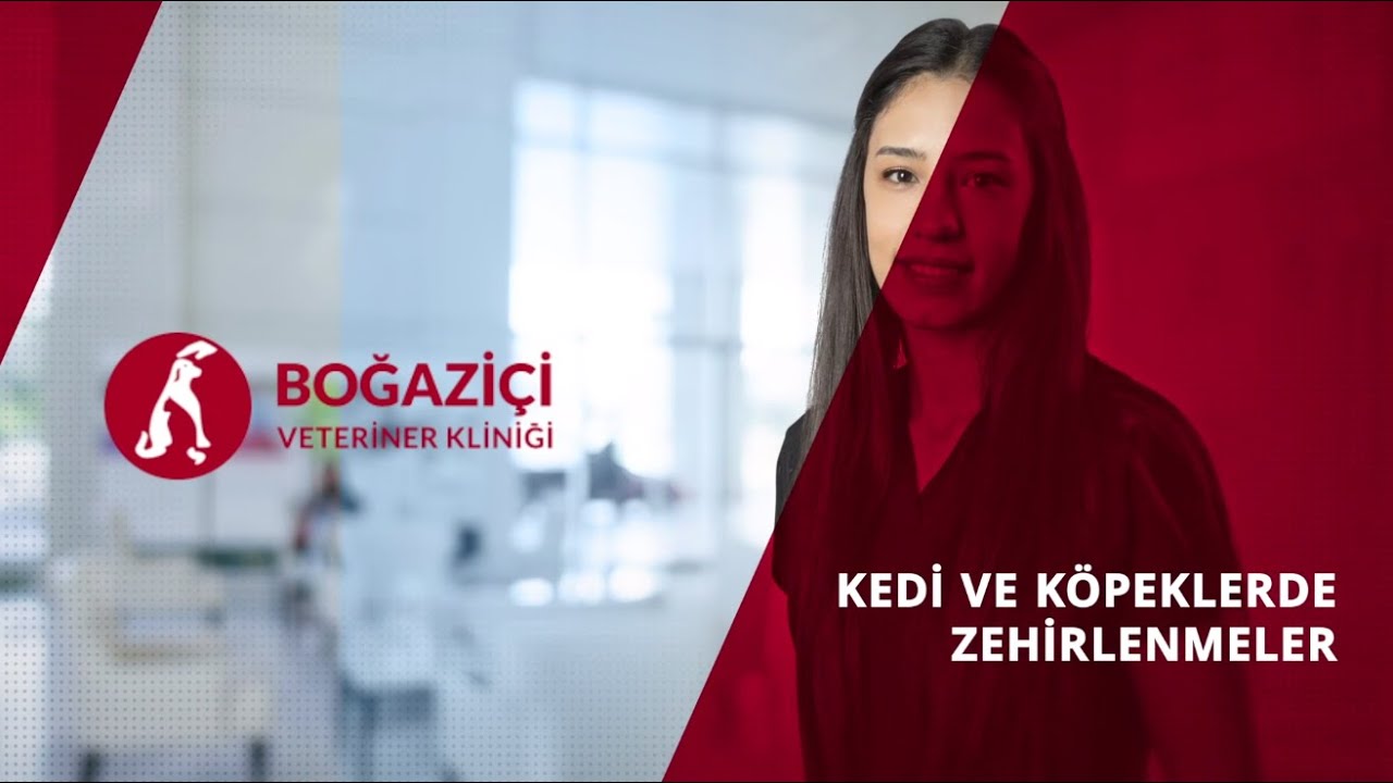 Kedi ve Köpeklerde Zehirlenmeler