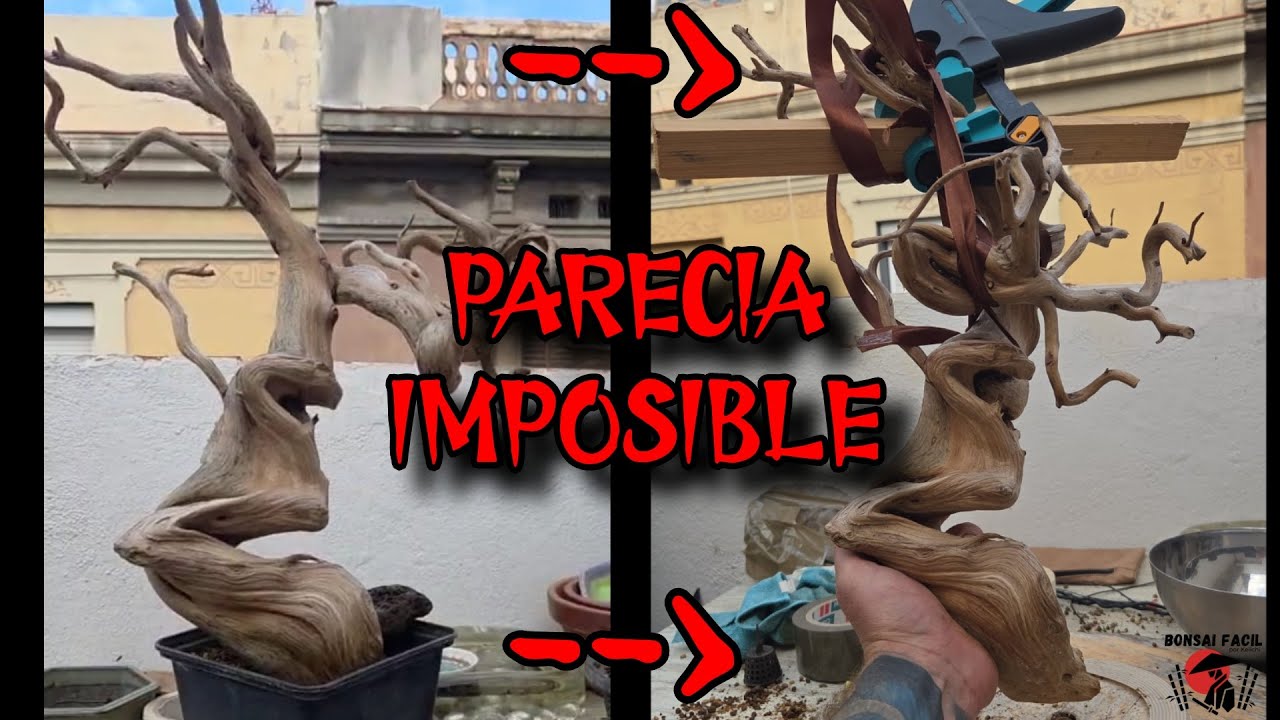 Recolocando madera muerta, facil O_-