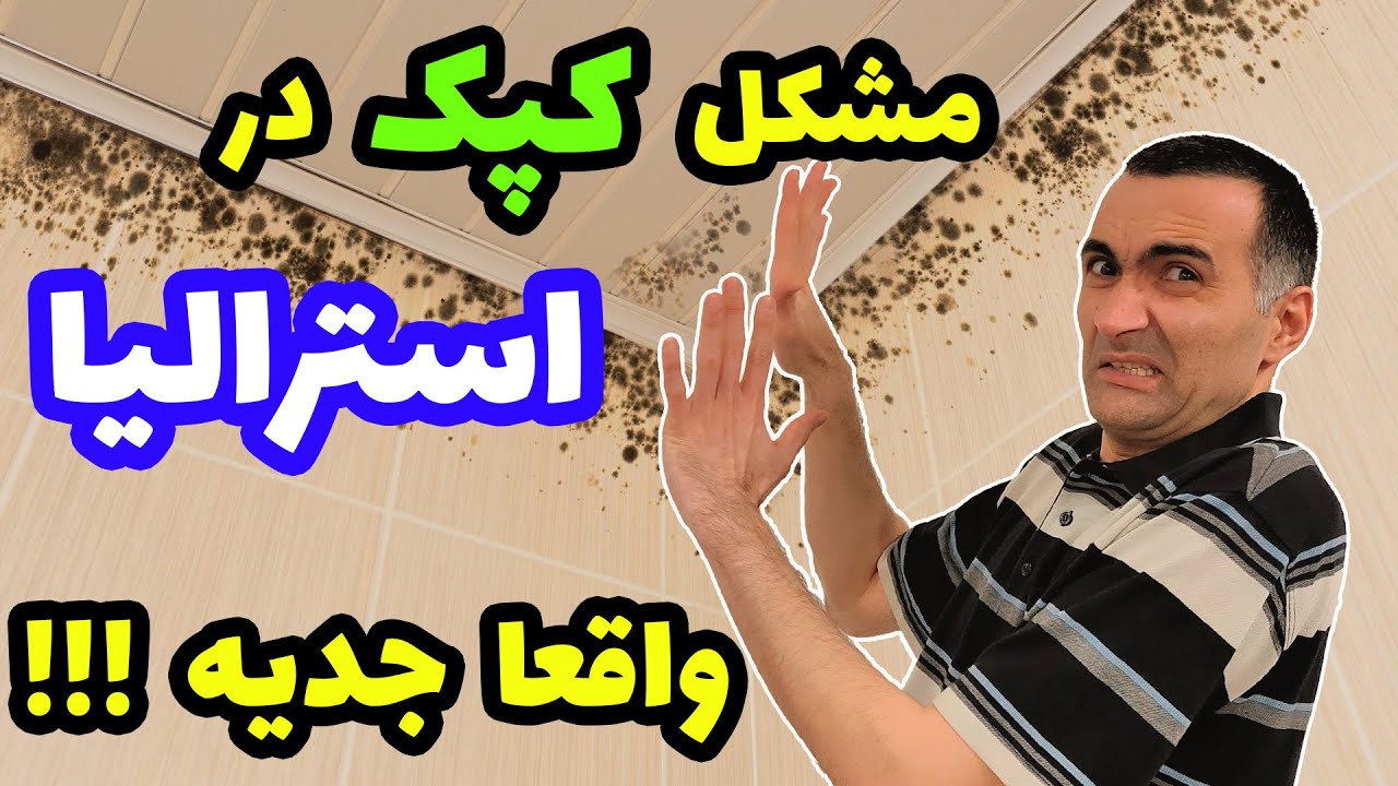 مشکل کپک توی استرالیا  و داستانی که ما داشتیم و ۳ تا راه حلی که براش پیدا کردیم / مخصوص مهاجرین