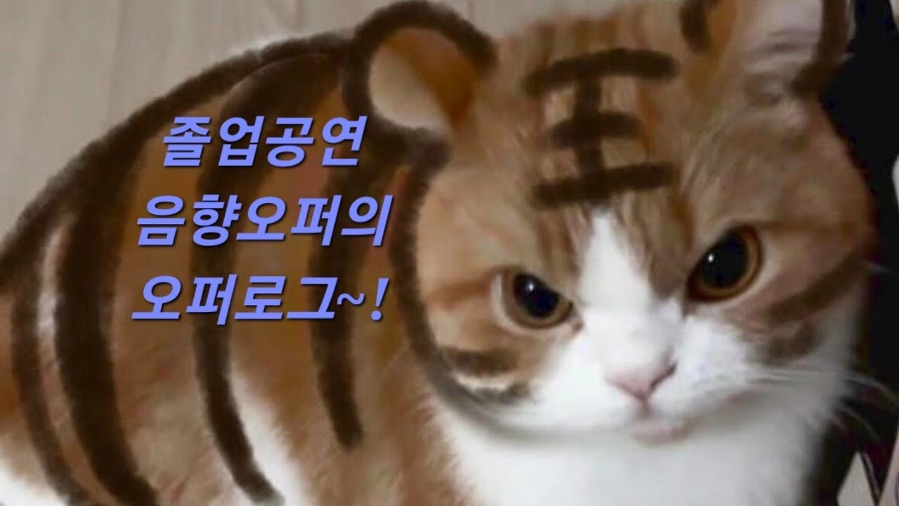 (Vlog) 졸공 음향오퍼의 오퍼로그~!