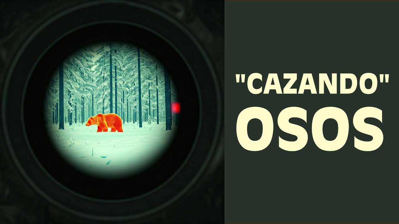 En busca de OSOS y LOBOS en Montaña Palentina