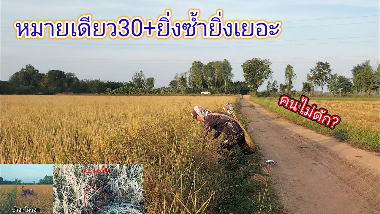 หมายเดียว30+ดักหนูซ้ำหมายใกล้บ้านยังไงให้ได้เยอะกว่าเดิมได้เยอะกว่าเปิดหมายใหม่สะอีก